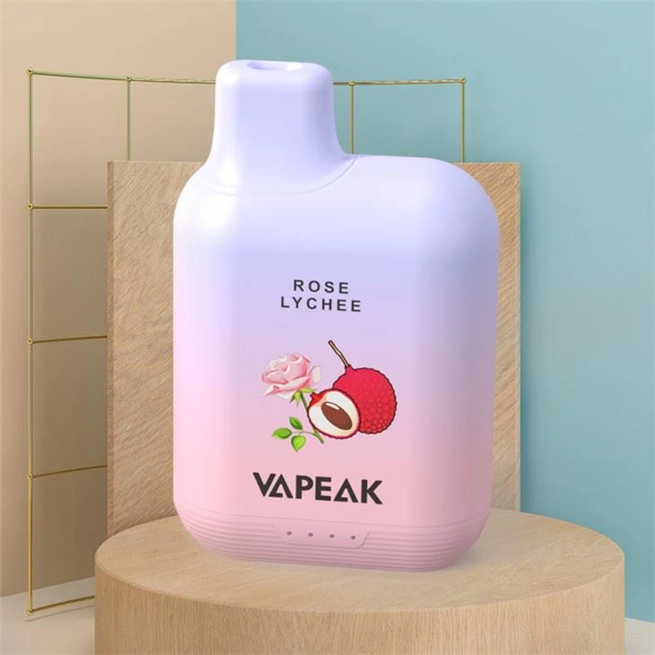 5000 Puff újratölthető eldobható vape