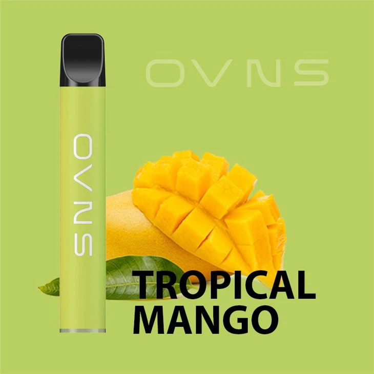 TPD Compliant Vapes 600 Puff TPD Compliant Vapes 600 Puff