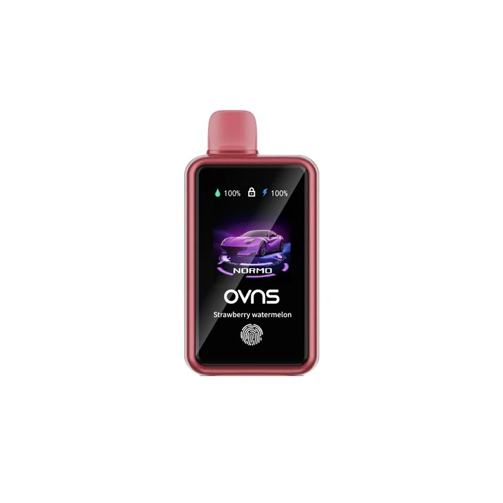 2024 Best 30000 Puffs 4 Modes Adiustable TFT Touch Screen Disposable Vapes 2024 Best 30000 Puffs 4 Modes Adiustable TFT Touch Screen Disposable Vapes
