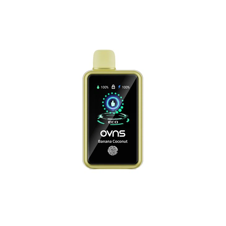 2024 Best 30000 Puffs 4 Modes Adiustable TFT Touch Screen Disposable Vapes 2024 Best 30000 Puffs 4 Modes Adiustable TFT Touch Screen Disposable Vapes