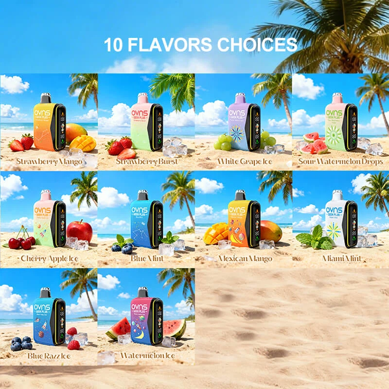 OVNS GEEK PLUS 15000 PUFFS VAPE FLAVOR OVNS GEEK PLUS 15000 PUFFS VAPE FLAVOR