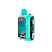 2024 legújabb 25K Puffs RAZ Dispotable Vape Bar